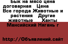 Бык на мясо цена договарная › Цена ­ 300 - Все города Животные и растения » Другие животные   . Ханты-Мансийский,Нягань г.